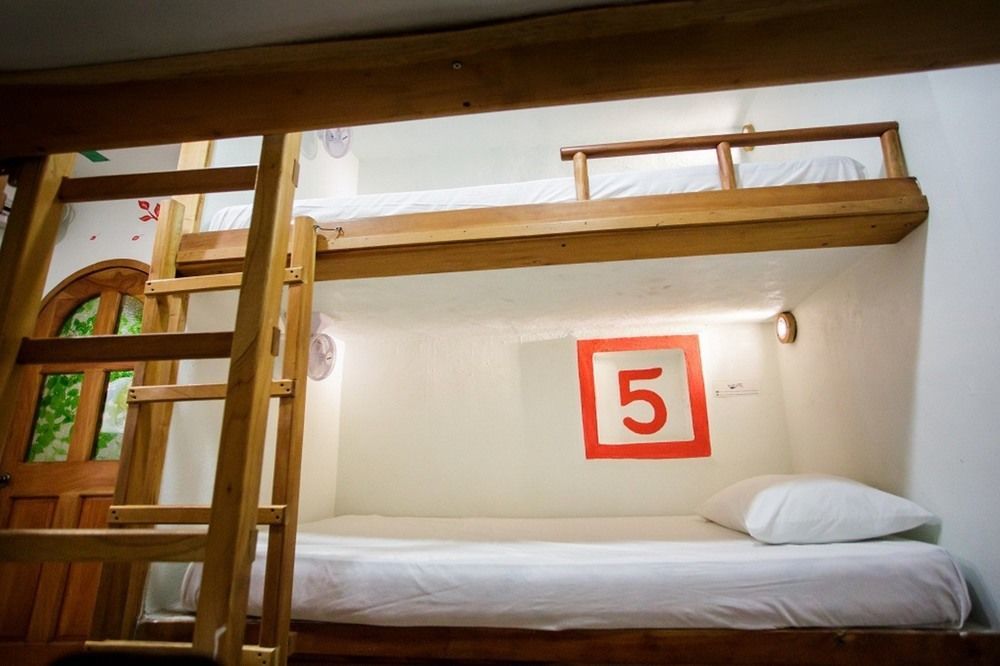 Hostel Natura Κανκούν Εξωτερικό φωτογραφία