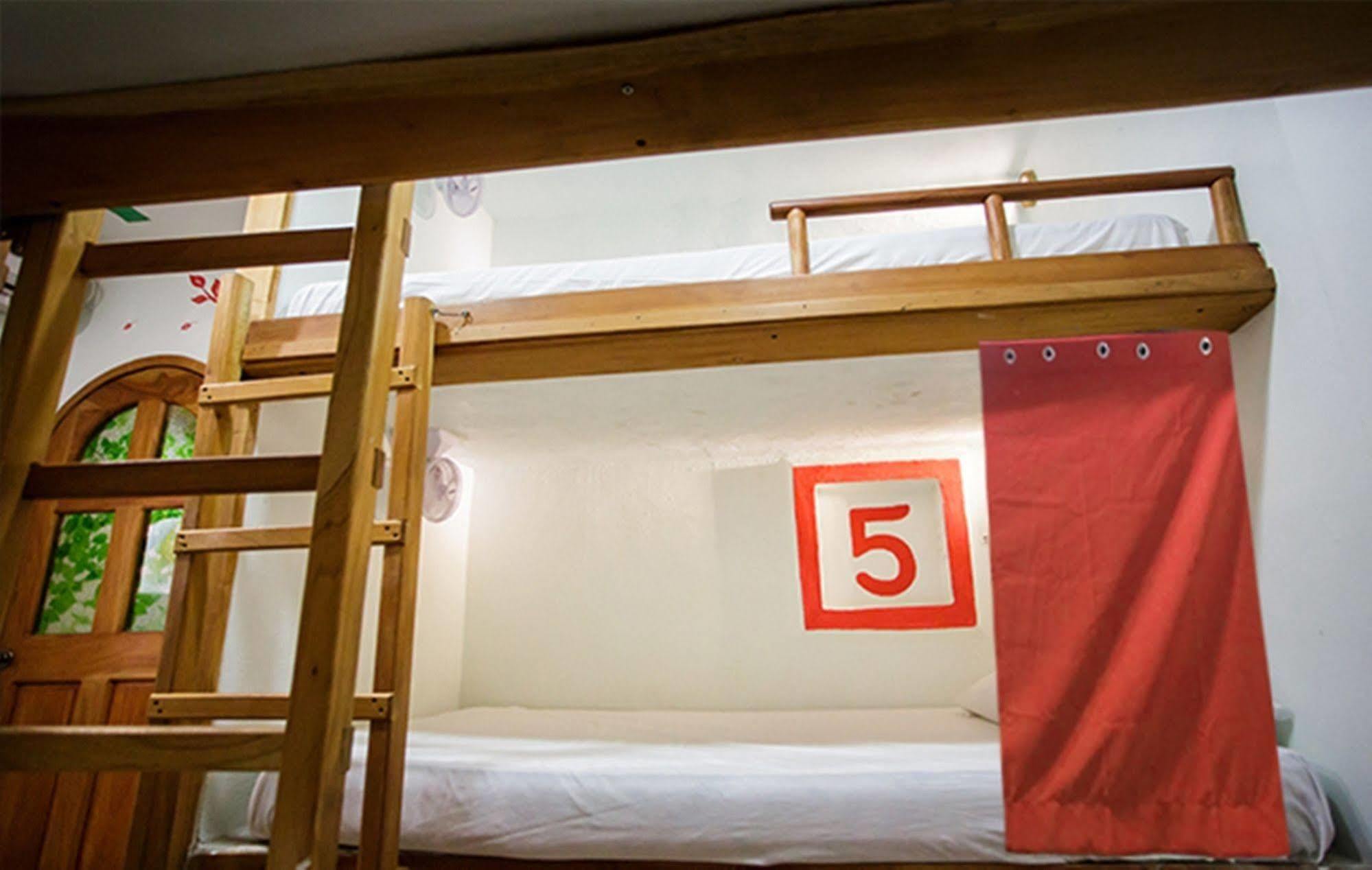 Hostel Natura Κανκούν Εξωτερικό φωτογραφία