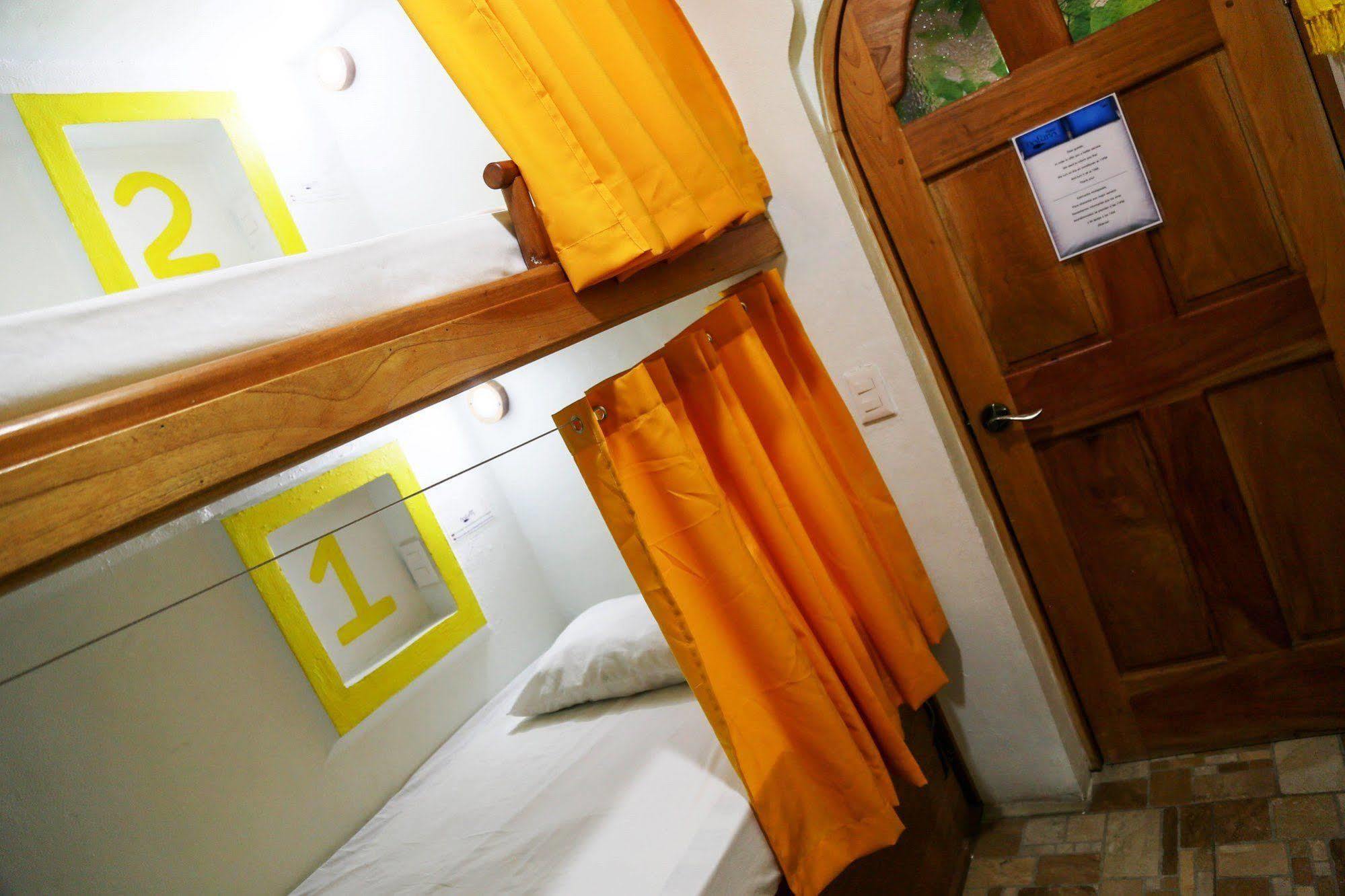 Hostel Natura Κανκούν Εξωτερικό φωτογραφία